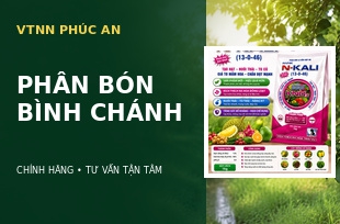 Phân Bón Bình Chánh – Kinh Nghiệm Chọn Đúng Cho Từng Giai Đoạn Cây Trồng