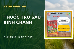 Thuốc Trừ Sâu Bình Chánh – Cách Chọn Sản Phẩm Chính Hãng Và Sử Dụng An Toàn
