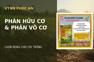 Phân Hữu Cơ Và Phân Vô Cơ – Nên Chọn Loại Nào Cho Cây Trồng?