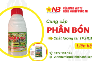 Cung cấp phân bón cây trồng tại TP.HCM – Chất lượng, giá tốt