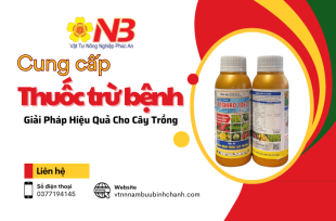 Sử dụng thuốc trừ bệnh tại Vật Tư Nông Nghiệp Phúc An – Giải pháp hiệu quả cho cây trồng 