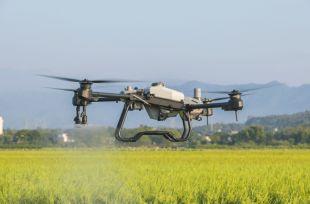 Phun Thuốc BVTV Bằng Máy Bay (Drone) Cần Lưu Ý Điều Gì?