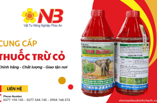 Vật Tư Nông Nghiệp – Giải Pháp Tốt Nhất Cho Nông Dân Hiện Đại