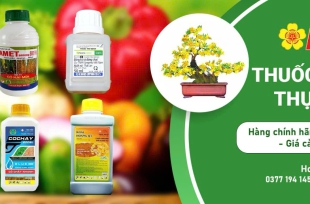 Cửa Hàng Vật Tư Nông Nghiệp Phúc An – Địa Chỉ Cung Cấp Vật Tư Uy Tín Tại Bình Chánh