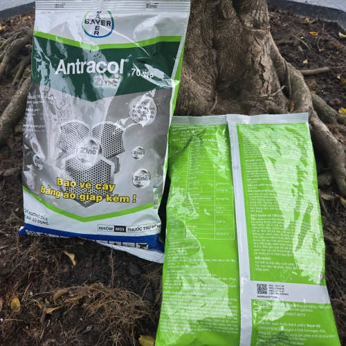 thuốc bệnh ANTRACOL 70WP ZINC++