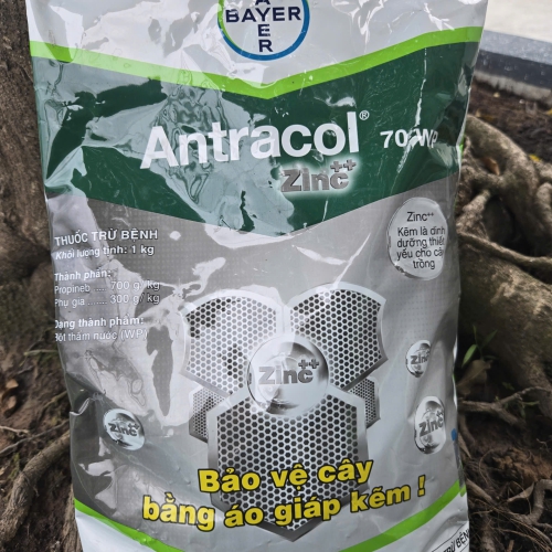 thuốc bệnh ANTRACOL 70WP ZINC++