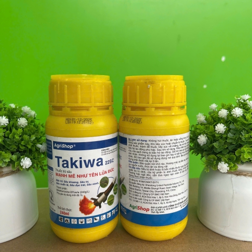 (SÂU) Takiwa 22SC
