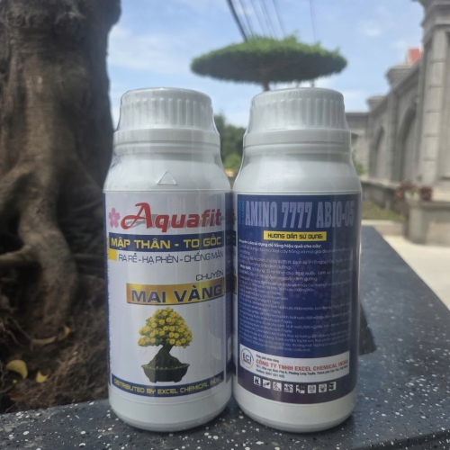 ???? AQUAFIT – MẬP THÂN, TO GỐC, MAI VÀNG KHỎE ĐẸP ???? 