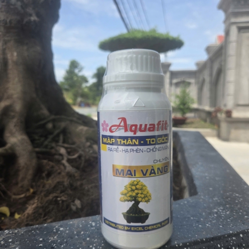 ???? AQUAFIT – MẬP THÂN, TO GỐC, MAI VÀNG KHỎE ĐẸP ???? 