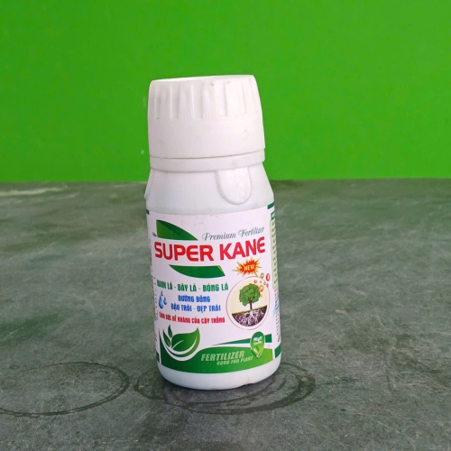 SUPER KANE – TTDK-10