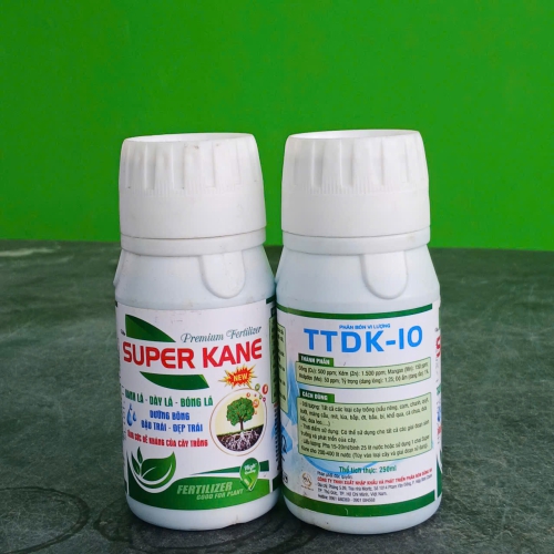 SUPER KANE – TTDK-10
