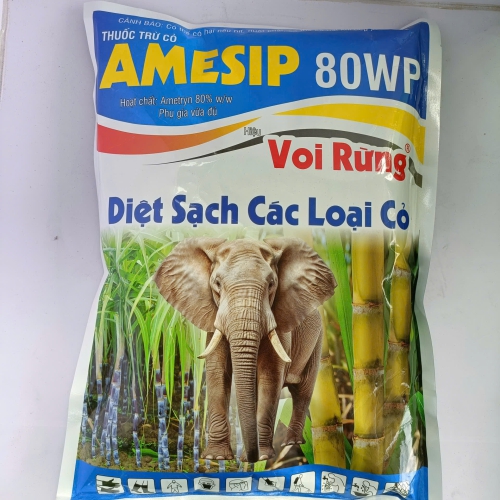 AMESIP 80WP – HIỆU VOI RỪNG Diệt sạch cỏ lá rộng – Giữ ruộng mía thông thoáng, tăng hiệu quả canh tác