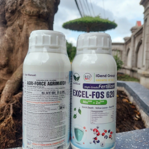 EXCEL-FOS 620 Mn + Zn – Giải pháp hỗ trợ cây khỏe, rễ mạnh, hạn chế vàng lá và thối rễ 