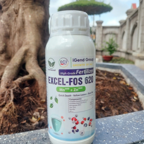 EXCEL-FOS 620 Mn + Zn – Giải pháp hỗ trợ cây khỏe, rễ mạnh, hạn chế vàng lá và thối rễ 