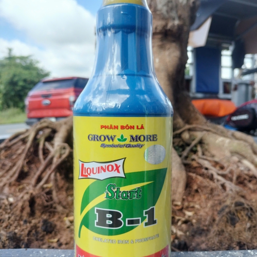GROW MORE LIQUINOX START B-1