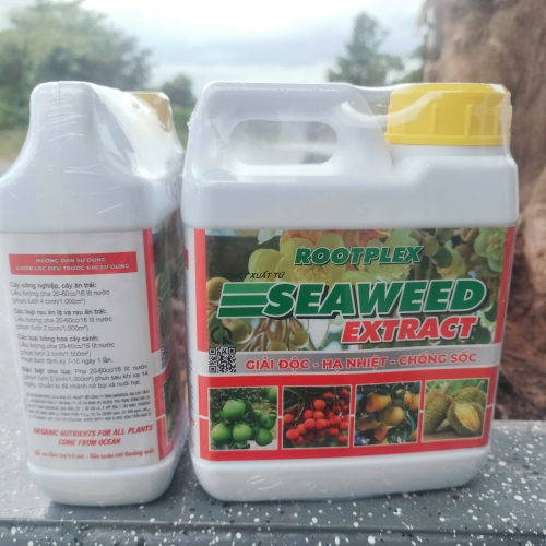 ROOTPLEX SEAWEED EXTRACT 