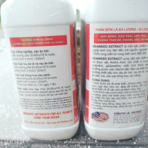 ROOTPLEX SEAWEED EXTRACT 
