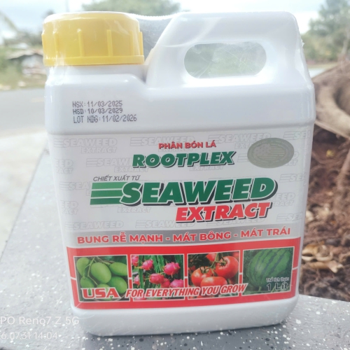 ROOTPLEX SEAWEED EXTRACT 