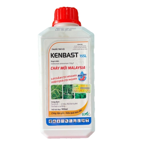 (CỎ) Thuốc trừ cỏ Kenbast 15SL- 900ml hoặc mẫu Kenup Vua cháy Khai hoang. Glufosinate 150g/l) - Cháy mới Malaysia- Lưu dẫn cực nhanh, hiệu quả cực mạnh- cháy chậm