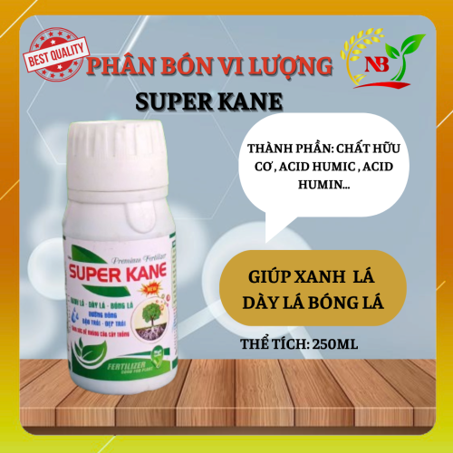 SUPER KANE – TTDK-10