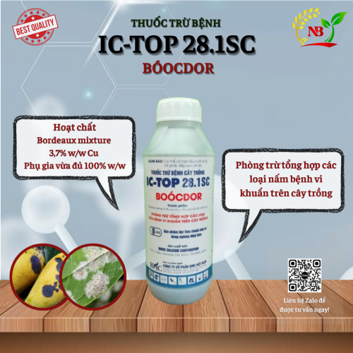 (BỆNH) IC- TOP 28.1SC (Booc Đô) - 1kg